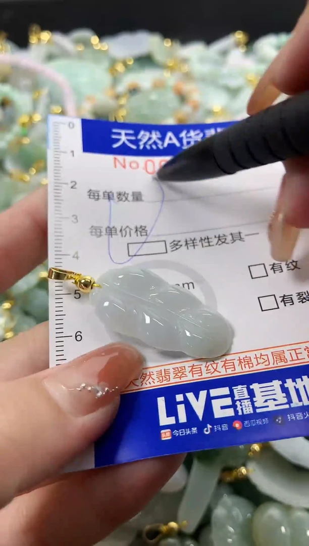 颈饰未镶嵌翡翠天然A货翡翠