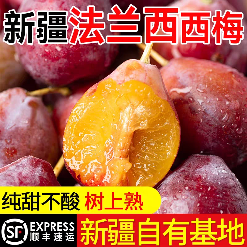 （礼盒装）新疆喀什法兰西西梅新鲜采摘香甜多汁当季应季水果送礼