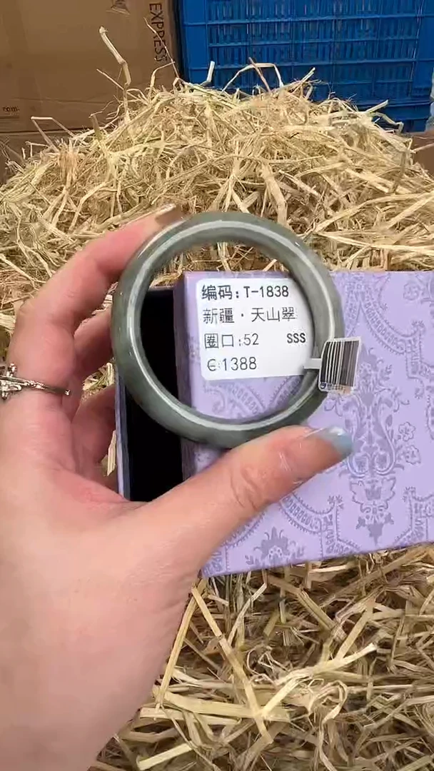 未镶嵌手镯石英质玉T-1838