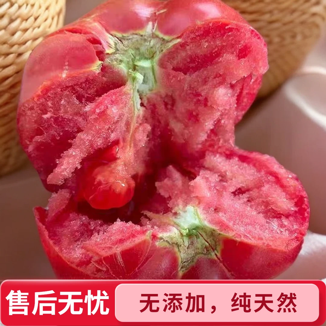 【现采现发】现摘现发宁夏沙瓤西红柿新鲜应季自然熟多汁酸甜可口