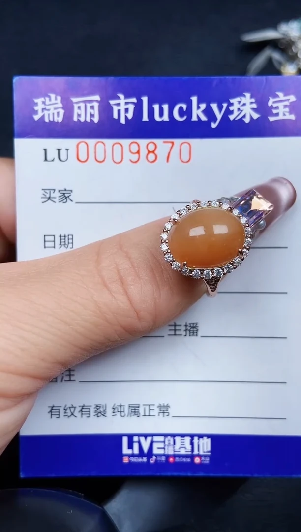 翡翠银S925镶嵌颈饰9870