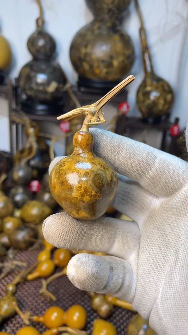 【闪购商品】葫芦葫芦葫芦葫芦