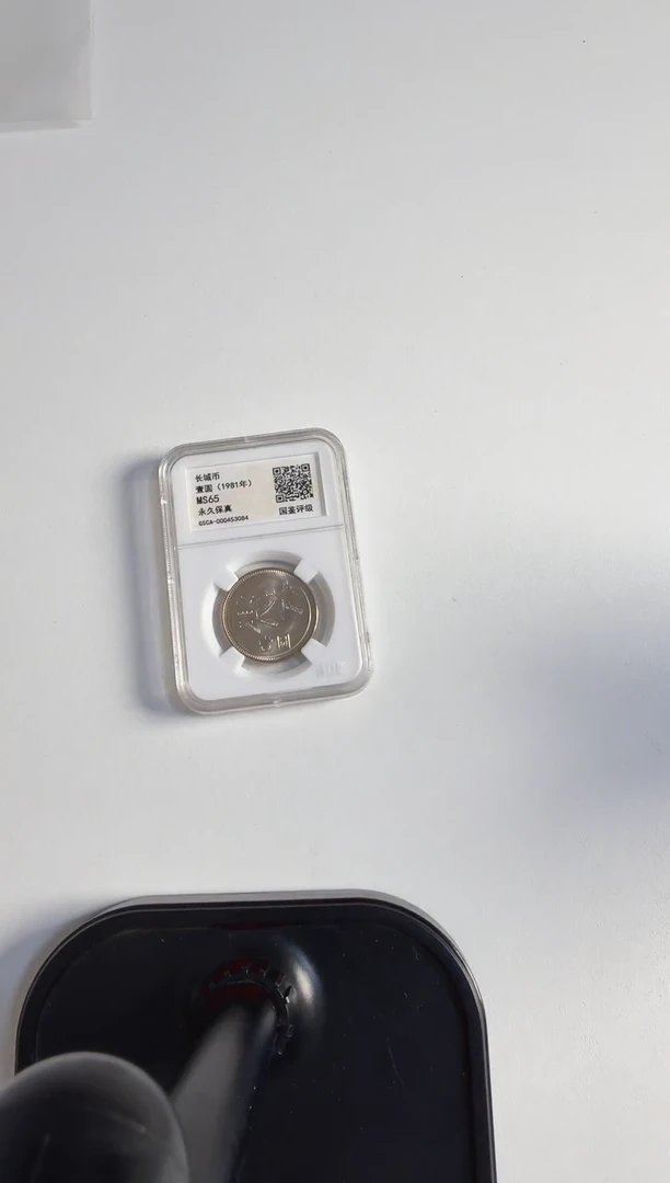 81长城币 壹圆 钱币