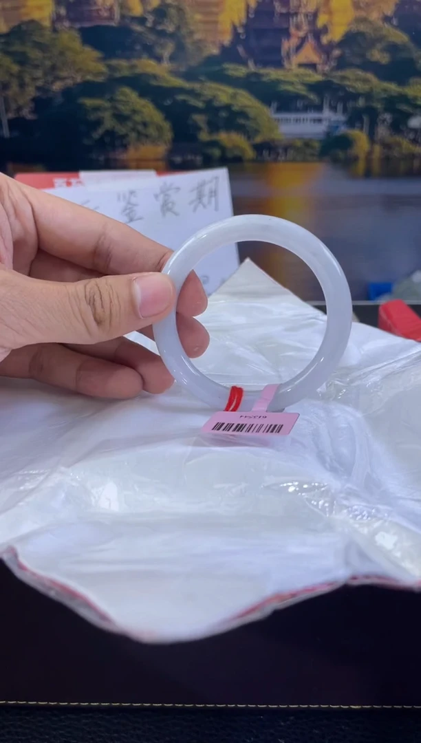 未镶嵌手镯翡翠4