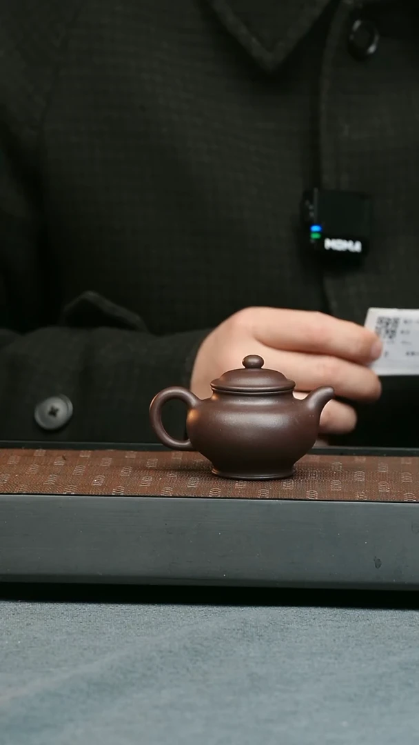 【闪购商品】紫砂茶壶五堂 掇只-许四海藏