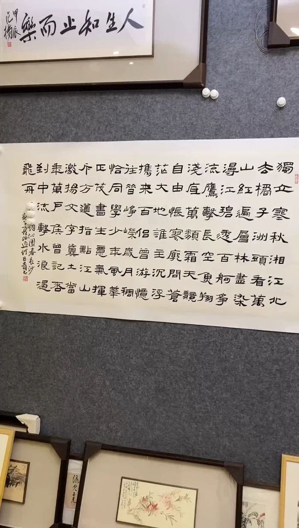 【闪购商品】书法HCG 0008 独立寒秋1