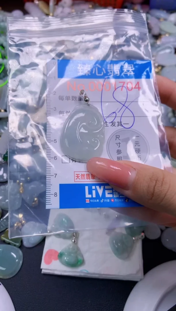 翡翠未镶嵌颈饰1704