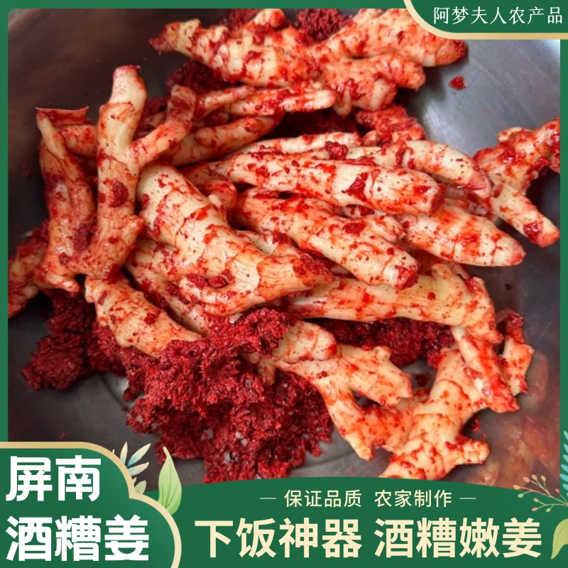 屏南特色农家酒糟姜福建高山嫩姜下饭酒糟嫩姜小姜仔精选优选生态