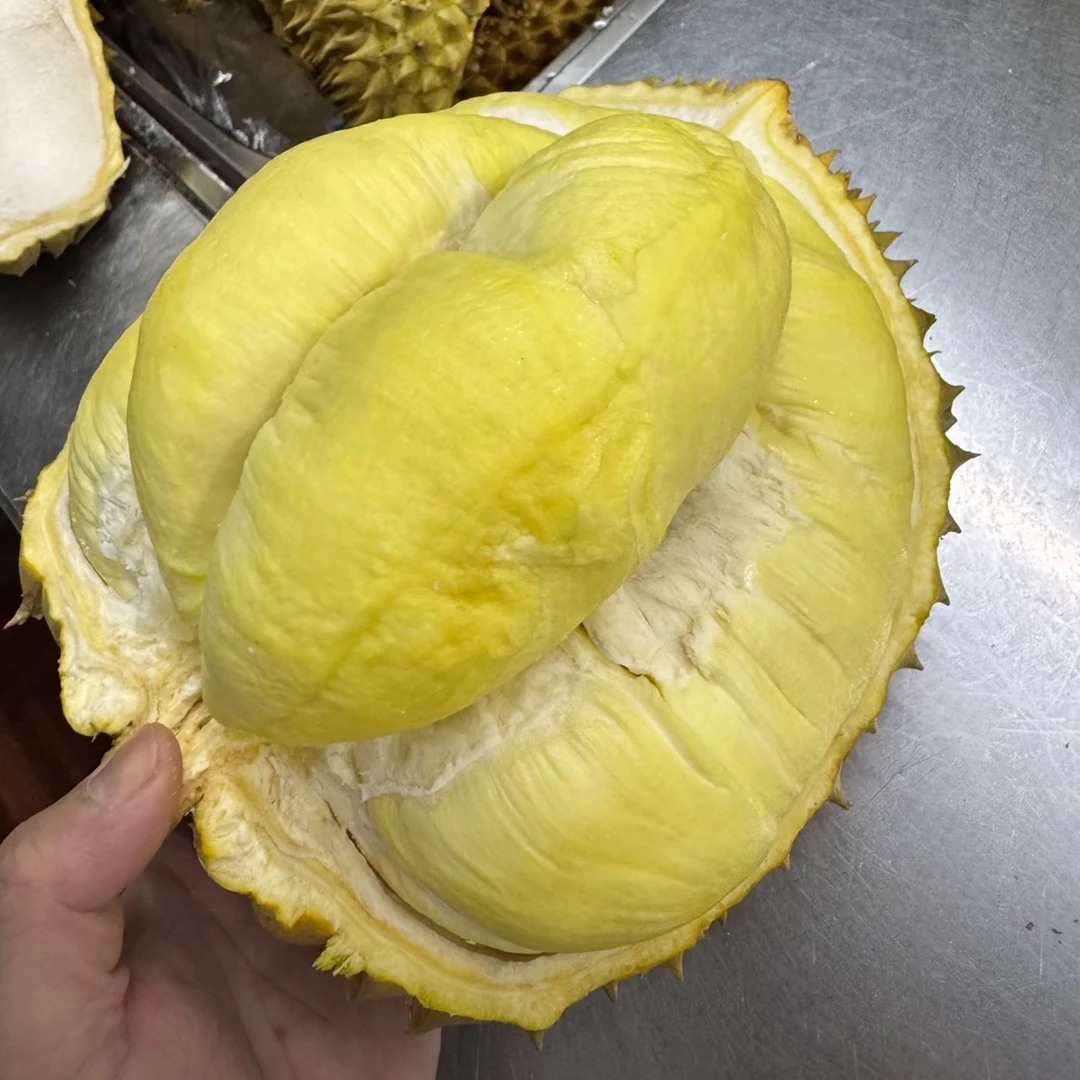 【清远榴莲小时达】【1斤纯果肉】新鲜AA级泰国树熟空运金枕榴莲核小金枕泰国