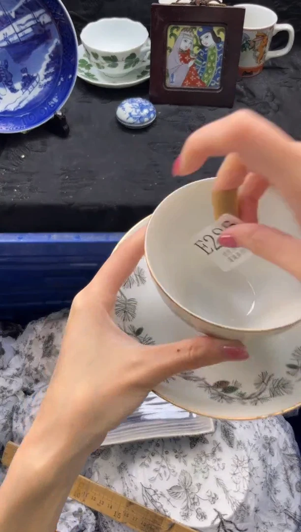 瓷片银****风       E286