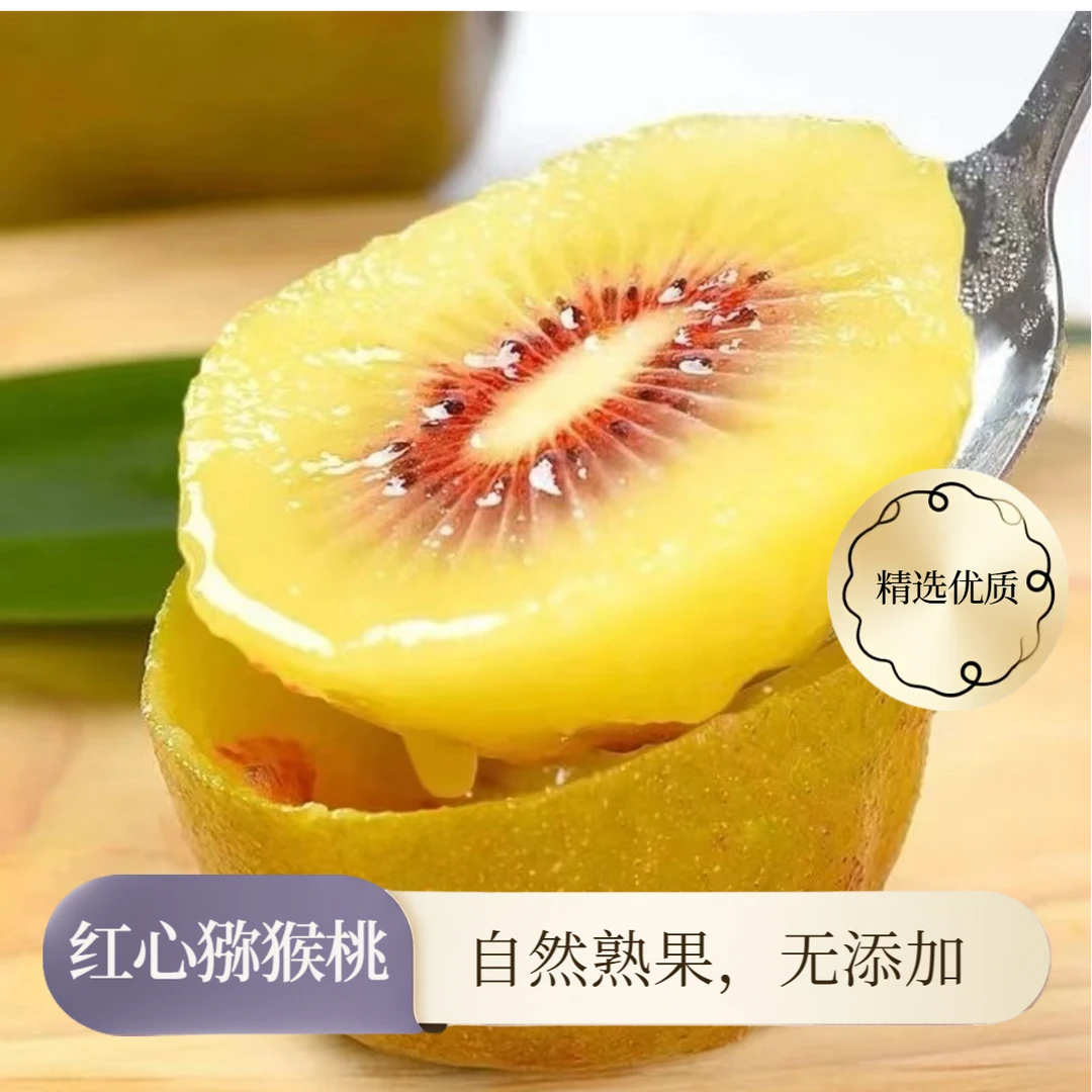 贵州六盘水红心猕猴桃 新鲜应季水果口感细腻香甜多汁