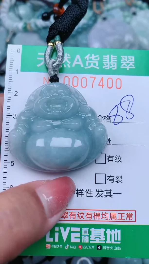【闪购商品】翡翠颈饰未镶嵌.0007400
