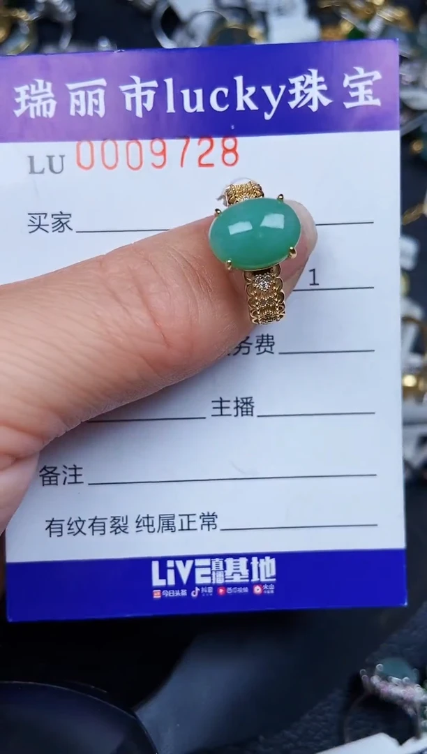 翡翠银S925镶嵌颈饰9728