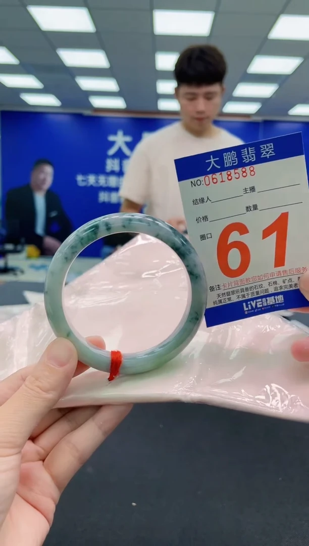 未镶嵌手镯翡翠AAAAAAAAA