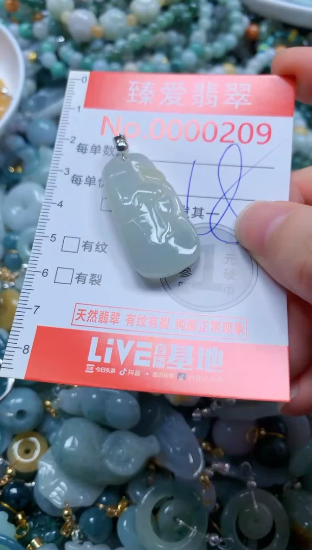 翡翠未镶嵌吊坠(不含链)0209