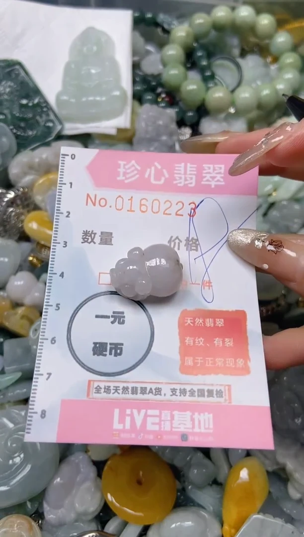 【闪购商品】翡翠颈饰未镶嵌闪购0160223