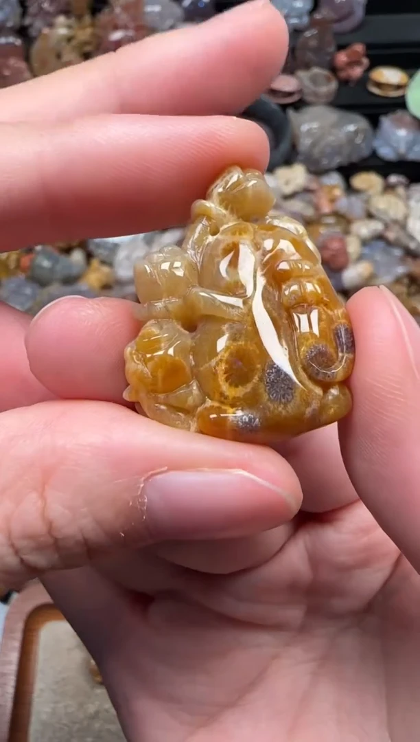 颈饰未镶嵌硅化珊瑚（珊瑚玉）596