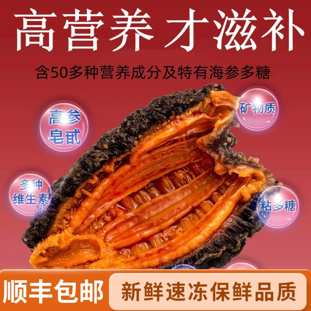海参红极参 500g/袋 营养丰富