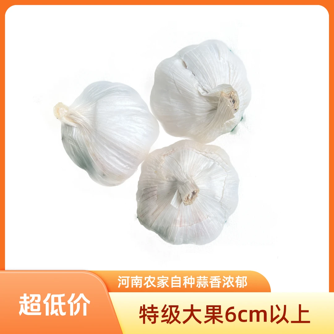 特级超大果干蒜2025新紫白皮大蒜河南农家自种蒜香浓郁皮薄瓣大