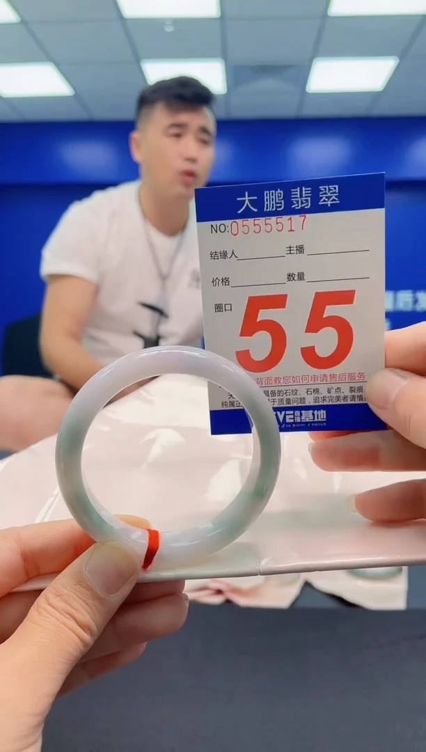 未镶嵌手镯翡翠AAAAAAAAA