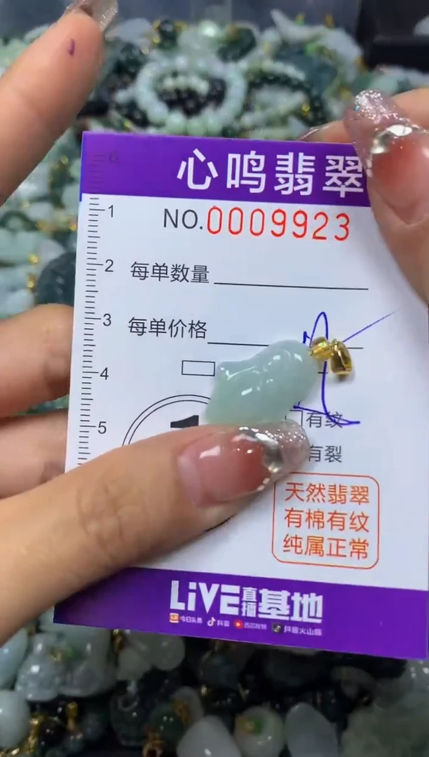 【闪购商品】翡翠颈饰未镶嵌闪购009923