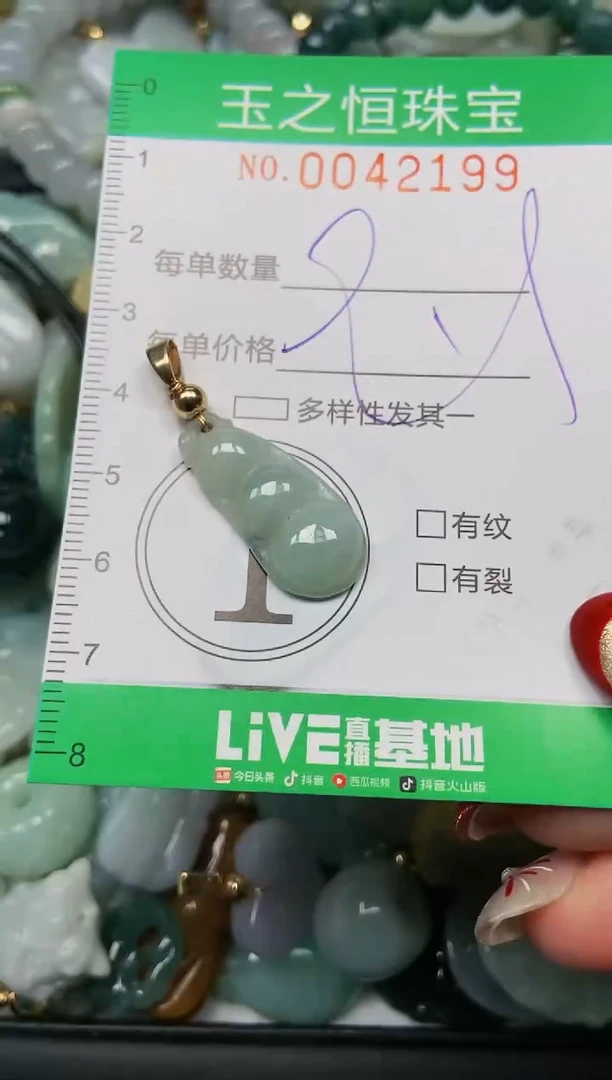 【闪购商品】翡翠颈饰未镶嵌闪购0042199