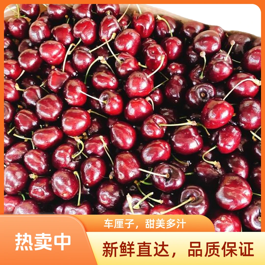 智利桑提娜车厘子 脆甜多汁 2斤装/5斤装  J-4J (升级黑车）内附果径卡  顺丰包邮