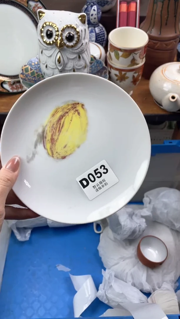 【闪购商品】瓷片            D053