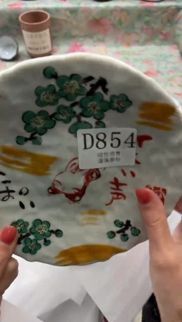瓷片       D854