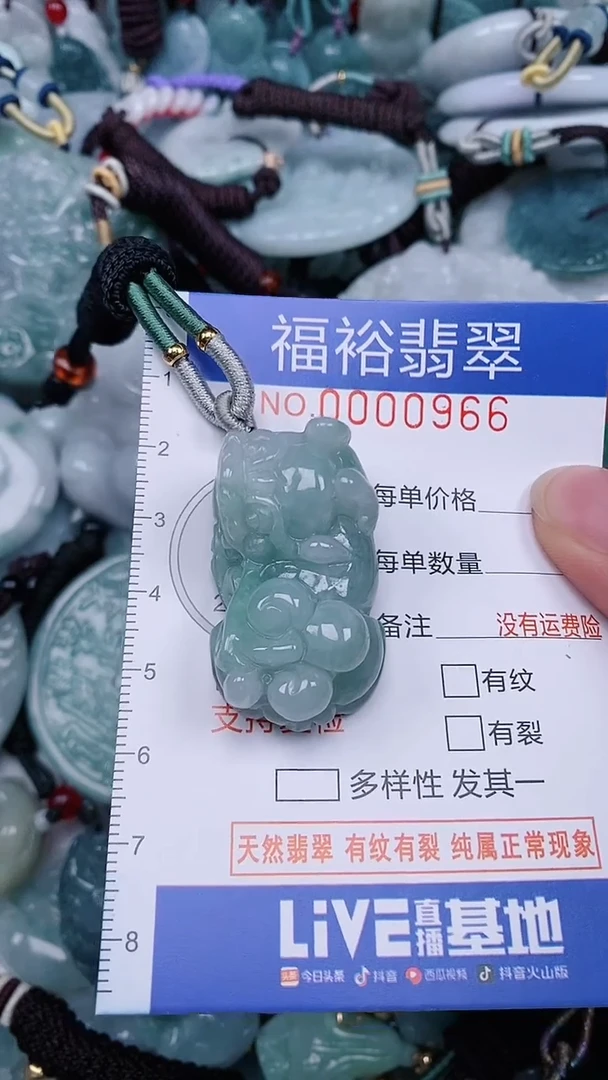 翡翠未镶嵌颈饰...0000966