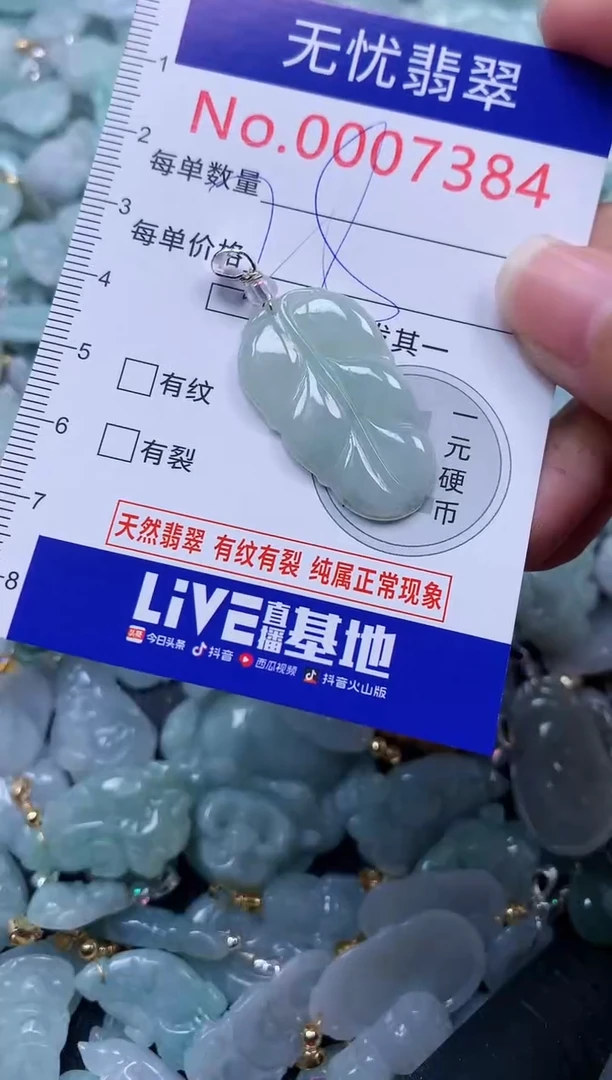 颈饰未镶嵌翡翠7384