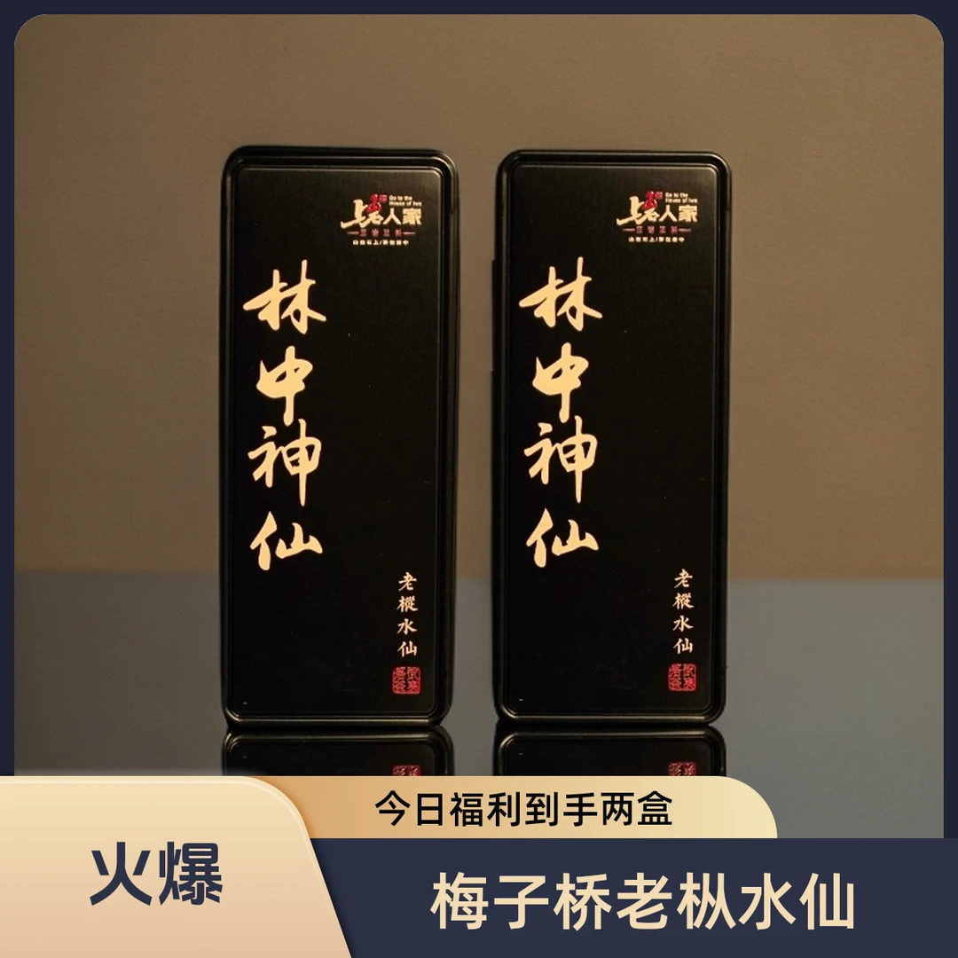 上岩人家【林中神仙】武夷山正岩梅子桥老枞水仙武夷岩茶品鉴装