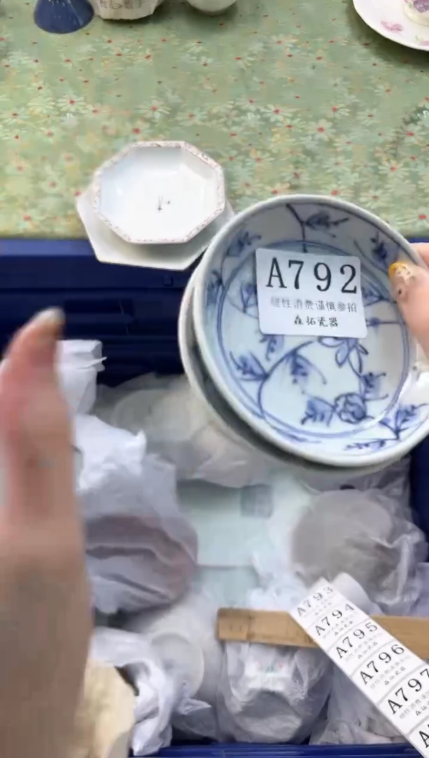 【闪购商品】瓷片          A792
