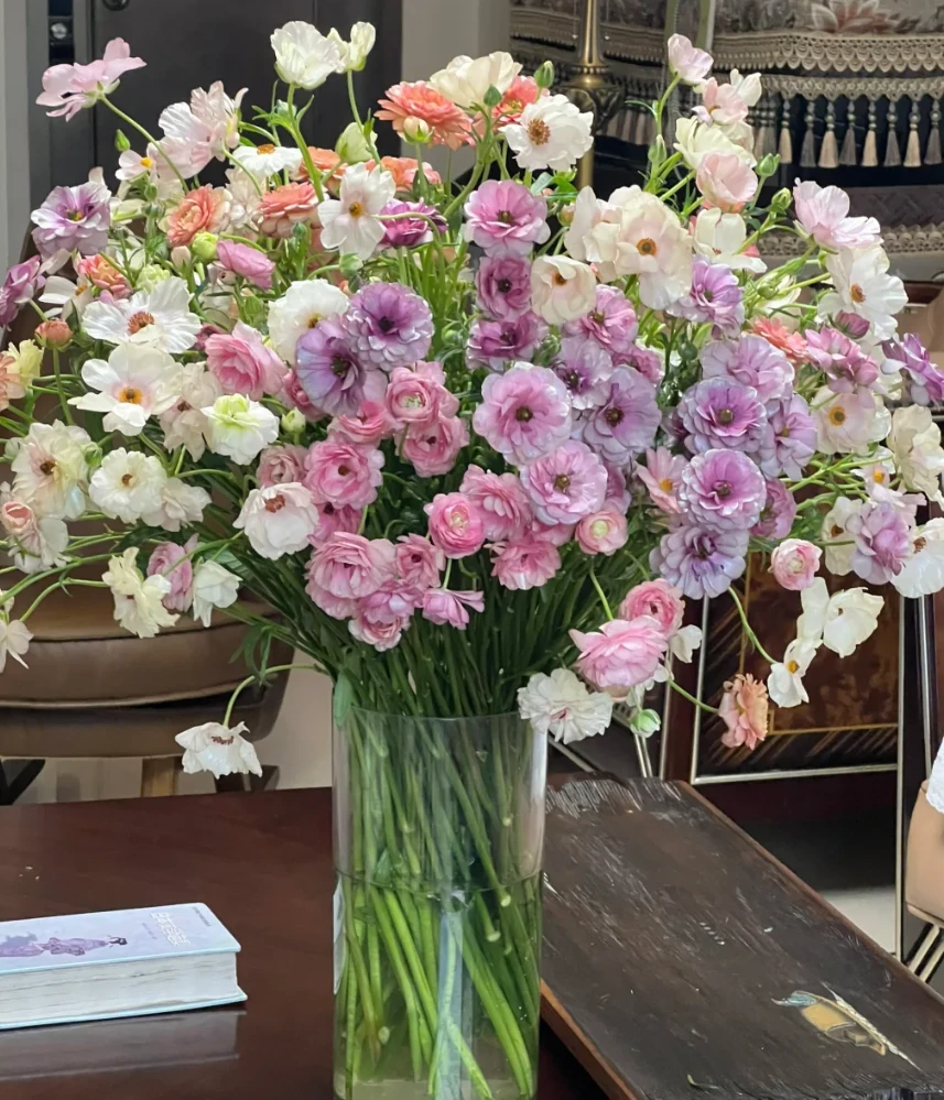 源头优选 [AA级蝴蝶洋牡丹花期长云南基地直发源头优选