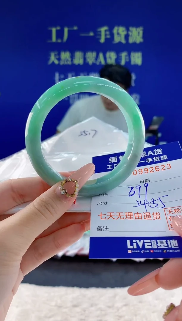 未镶嵌手镯翡翠23