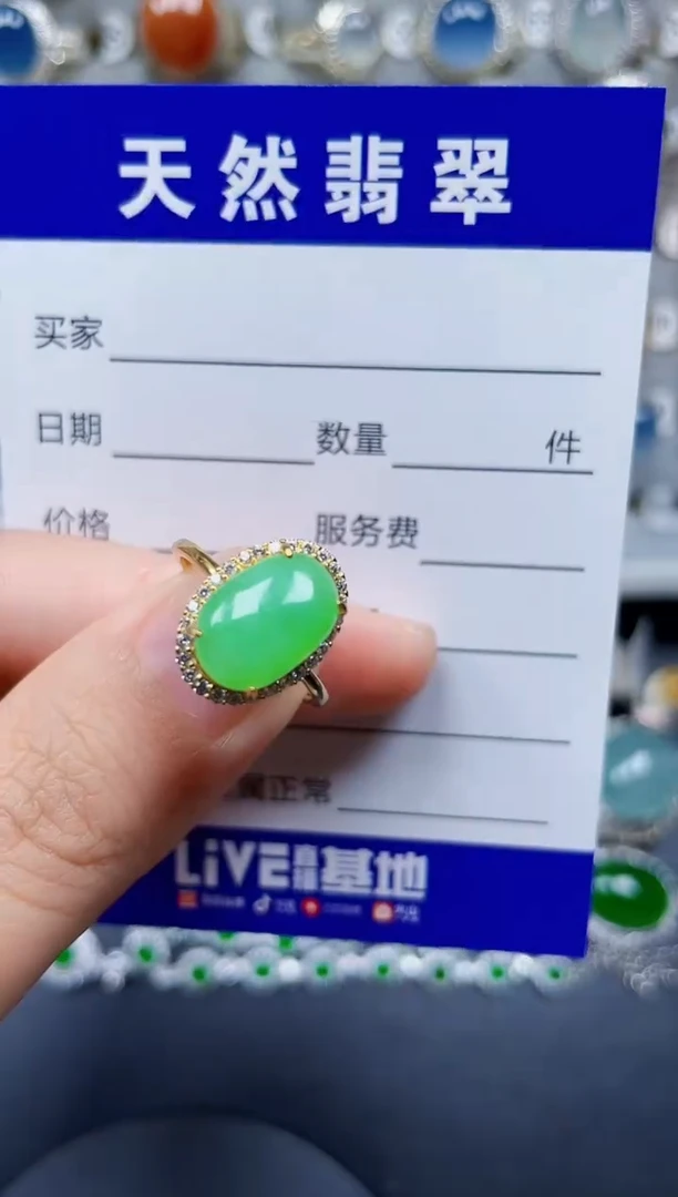 银S925镶嵌翡翠耳饰189