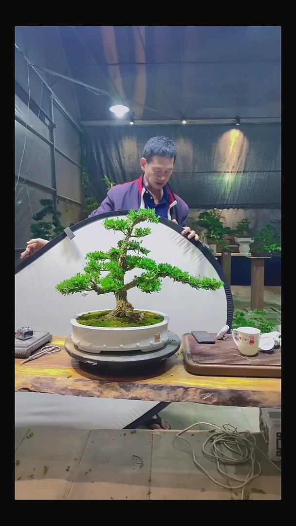 完全开放大*11111111111