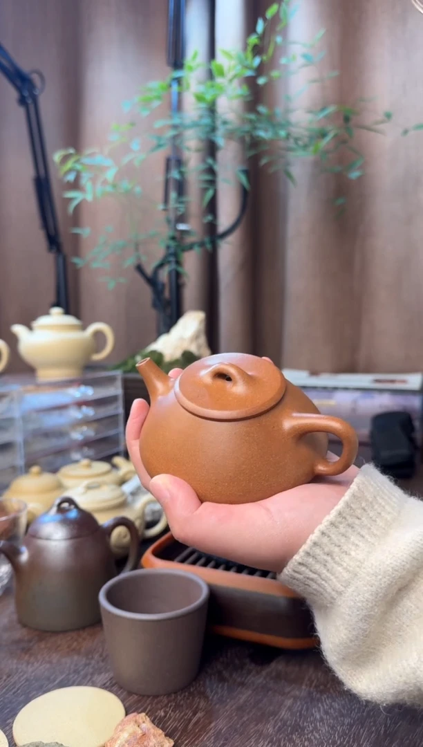 茶壶紫砂任瓢-半手精工制-老宕口桃花泥-40目-容量：180CC