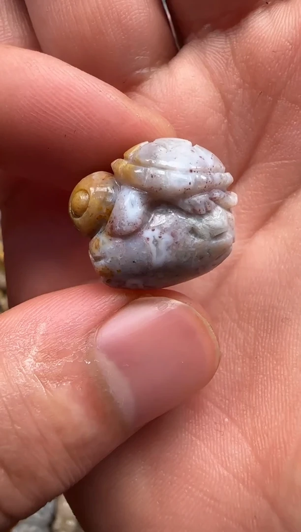 【闪购商品】硅化珊瑚（珊瑚玉）颈饰未镶嵌559