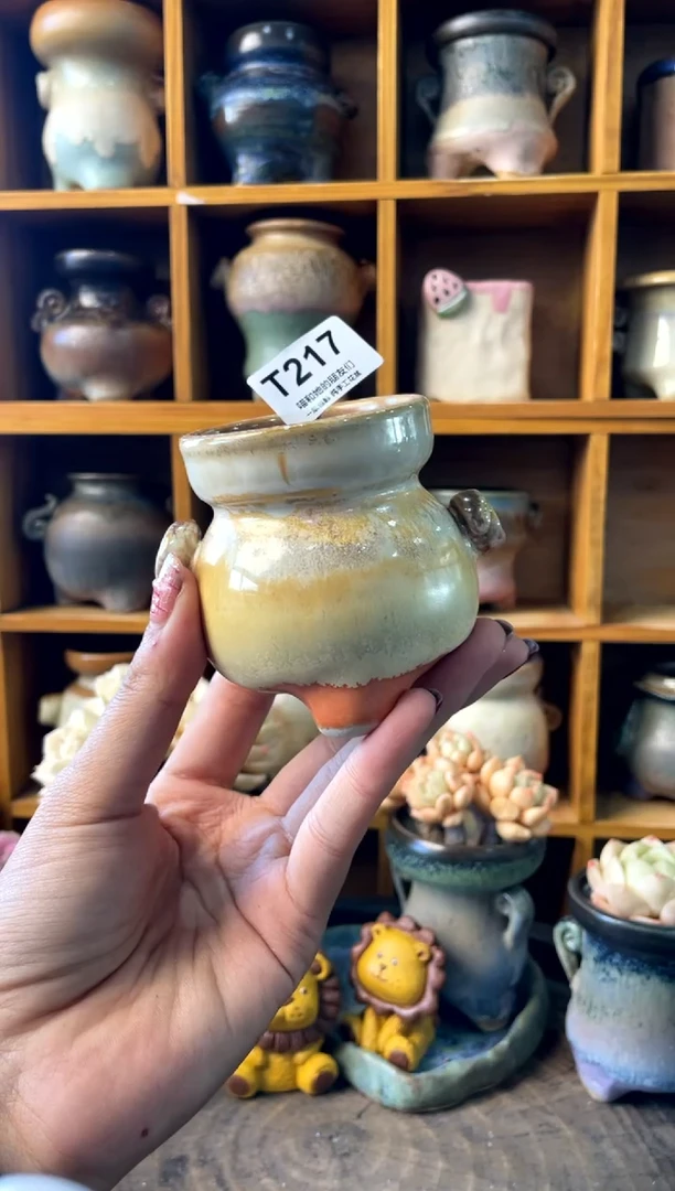 217内口5【多肉花盆多肉盆】