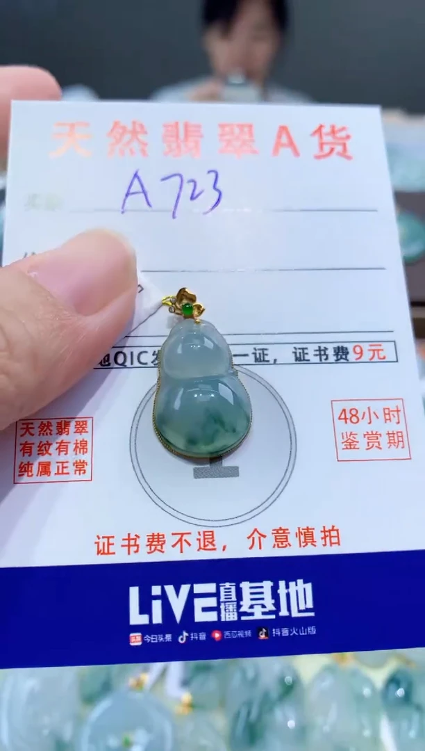 颈饰18K金镶嵌翡翠天然翡翠A货挂件