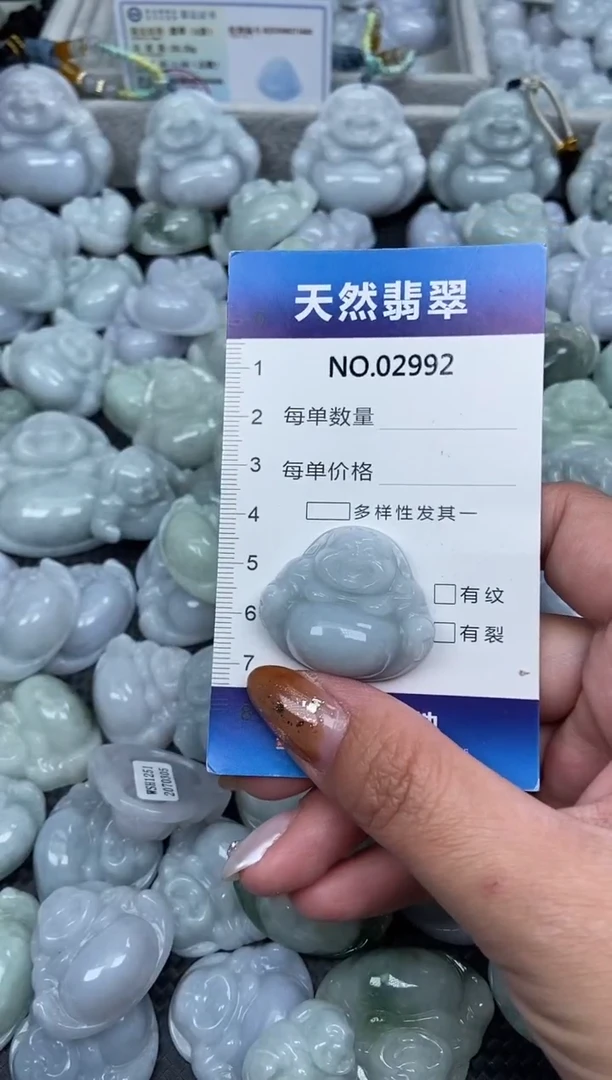 颈饰未镶嵌翡翠纯天然A货翡翠2992