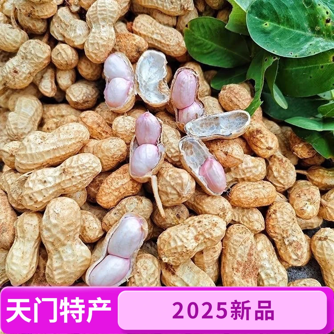 【保证新鲜发货 】新鲜湿花生带壳花生中花粉白花生白玉脆嫩可口