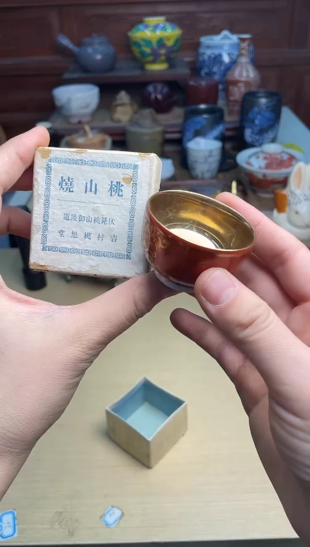 236号直播专用链接