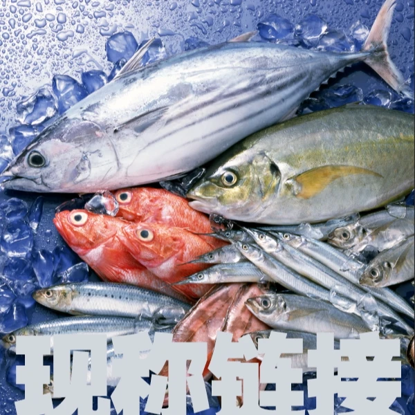（2）福建海鲜 现称链接
