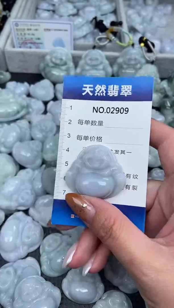 颈饰未镶嵌翡翠纯天然A货翡翠2909