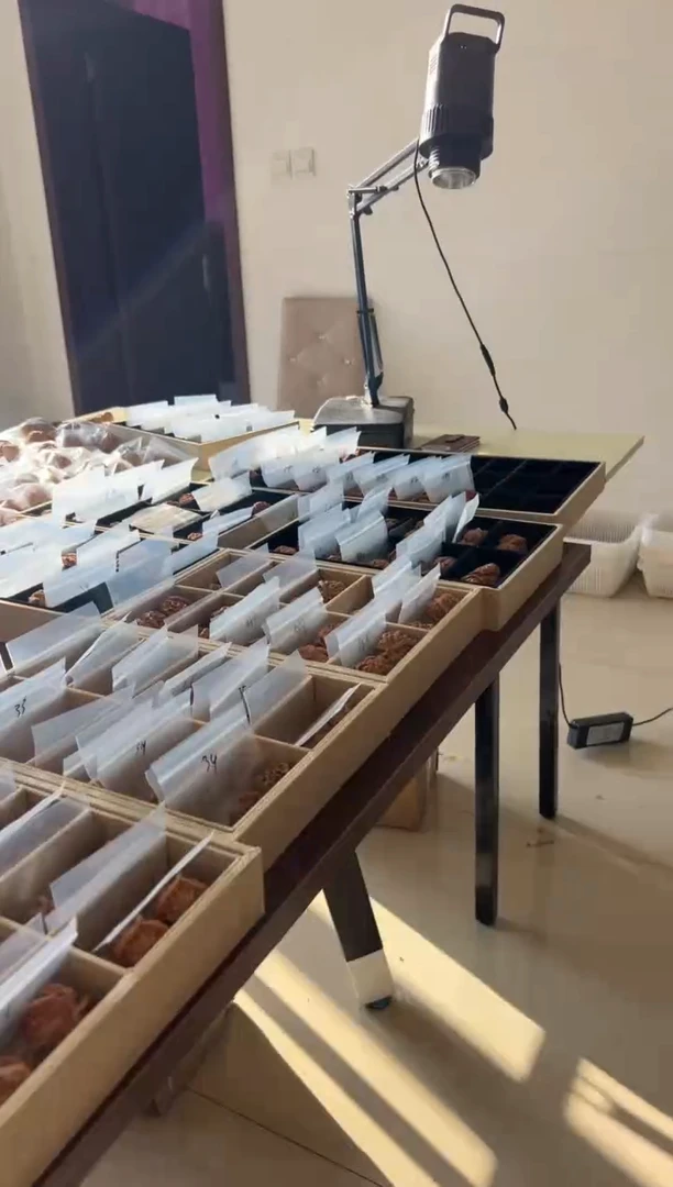 把件文玩核桃文玩核桃玉玺38人丁