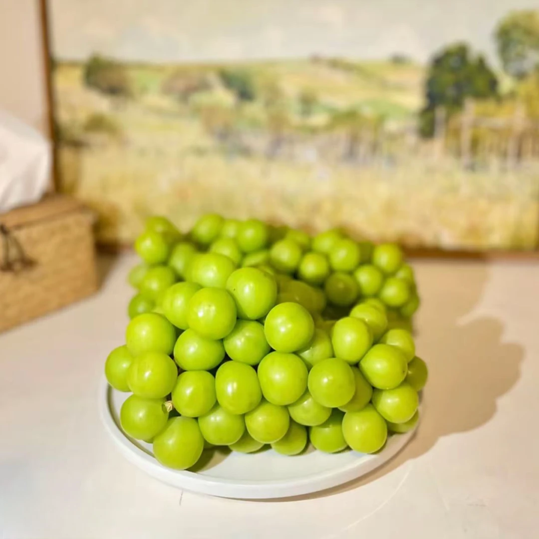 云南阳光玫瑰青提晴王葡萄新鲜采摘 源头直发