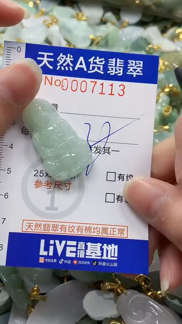 颈饰未镶嵌翡翠纯天然a货翡翠