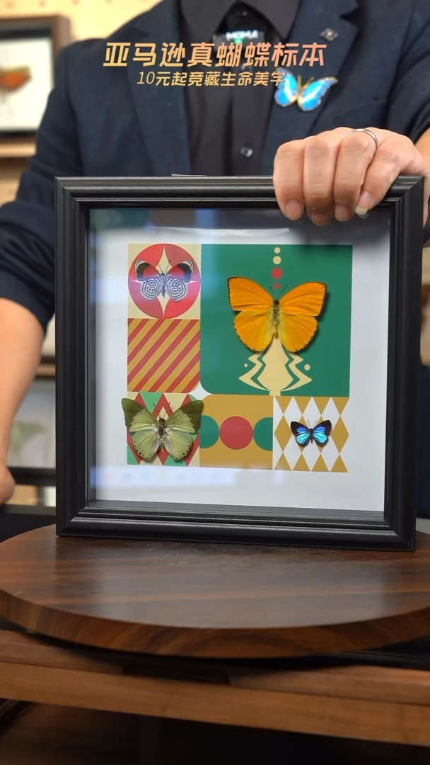 淡绿+杏菲粉+88+雅灰组合圣诞款